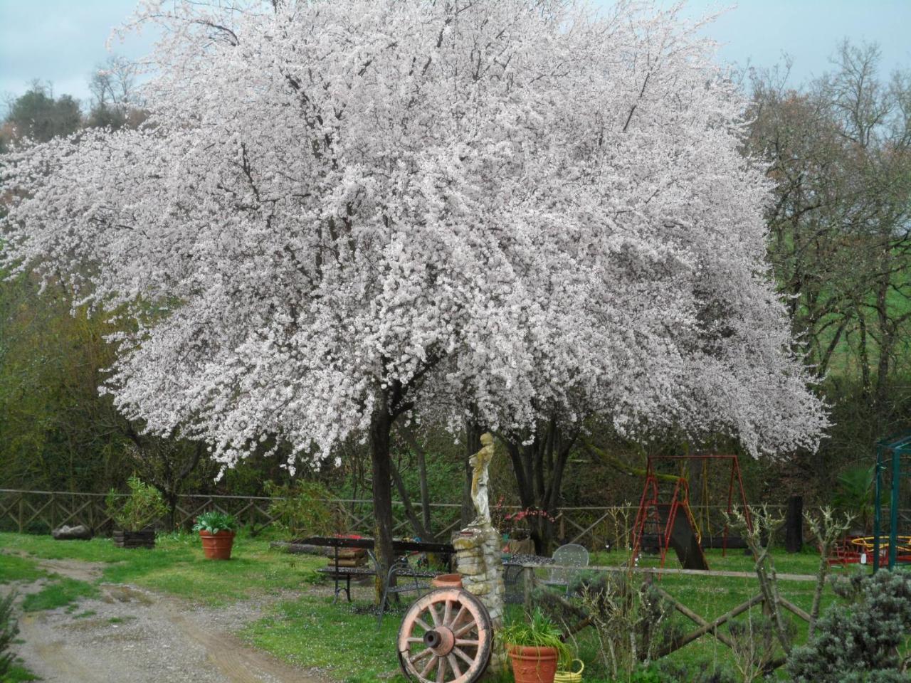 Locanda Delle Noci Перуджа Екстериор снимка